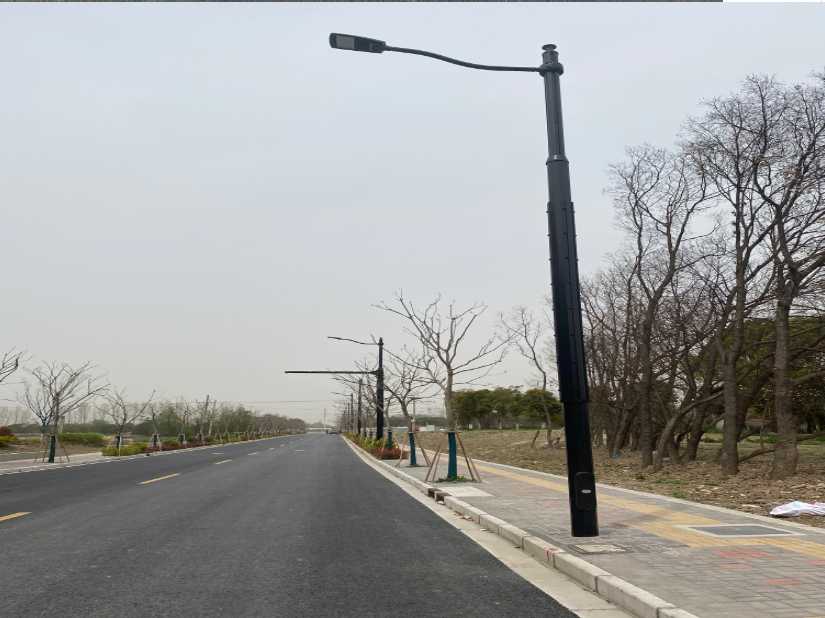 平湖市上海综合杆 太阳能路灯工程